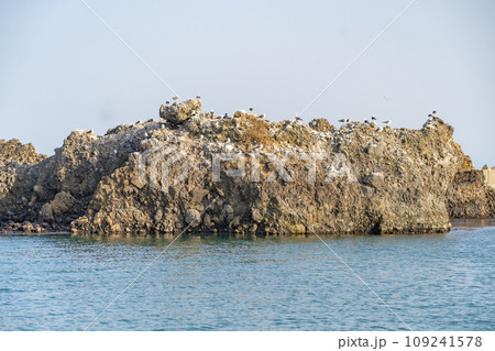 菖蒲田海水浴場 宮城県七ヶ浜町 菖蒲田海水浴場 宮城県七ヶ浜町 109241578