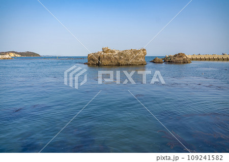 菖蒲田海水浴場 宮城県七ヶ浜町 菖蒲田海水浴場 宮城県七ヶ浜町 109241582