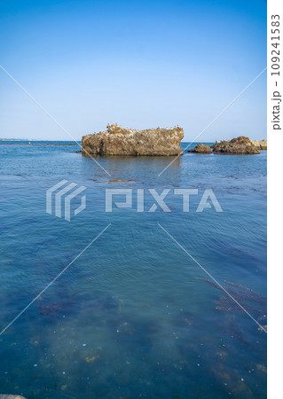 菖蒲田海水浴場　宮城県七ヶ浜町 109241583