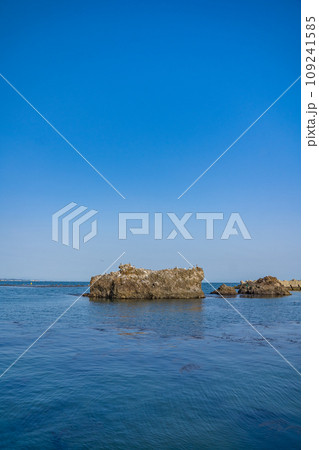 菖蒲田海水浴場 宮城県七ヶ浜町 菖蒲田海水浴場 宮城県七ヶ浜町 109241585