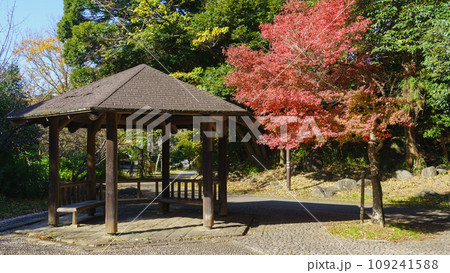 日本の秋・紅葉|千葉市・有吉公園 日本の秋・紅葉|千葉市・有吉公園 109241588