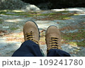 トレッキングシューズ 109241780
