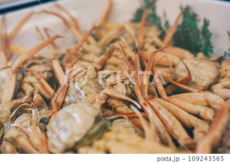 【#魚市場】セコガニ 109243565