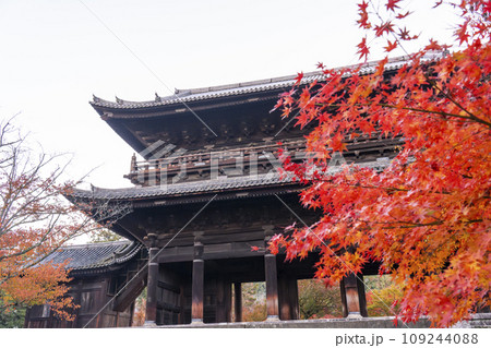 秋の京都　南禅寺　紅葉に包まれた三門 109244088