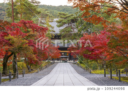 秋の京都　南禅寺　紅葉に包まれた法堂 109244098