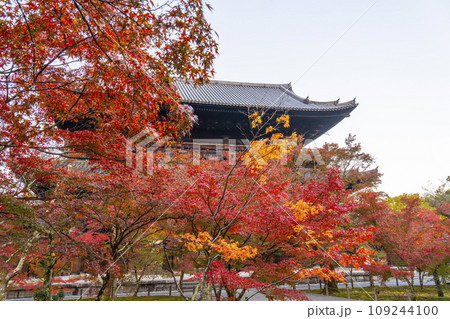 秋の京都　南禅寺　紅葉に包まれた三門 109244100
