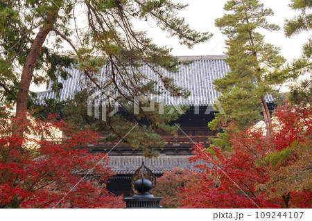 秋の京都　南禅寺　紅葉に包まれた三門 109244107
