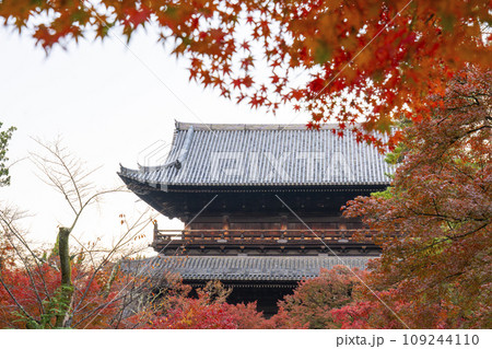 秋の京都　南禅寺　紅葉に包まれた三門 109244110
