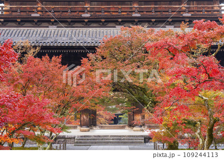 秋の京都　南禅寺　紅葉に包まれた三門 109244113