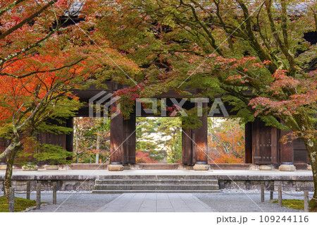秋の京都　南禅寺　紅葉に包まれた三門 109244116