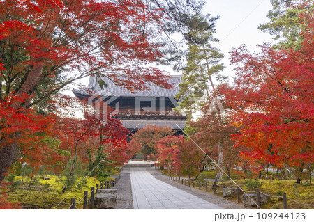 秋の京都　南禅寺　紅葉に包まれた三門 109244123