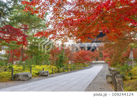 秋の京都　南禅寺　紅葉に包まれた三門 109244124