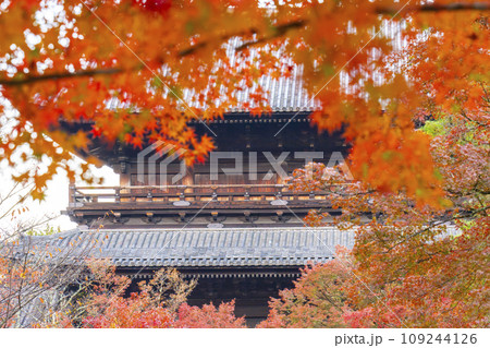 秋の京都　南禅寺　紅葉に包まれた三門 109244126