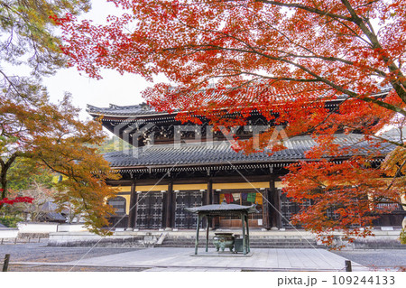 秋の京都 南禅寺 紅葉に包まれた法堂 秋の京都 南禅寺 紅葉に包まれた法堂 109244133
