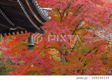 秋の京都　南禅寺　紅葉に包まれた法堂の風鐸 109244135