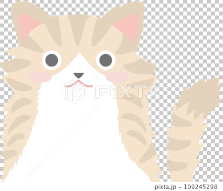 ノルウェージャンフォレストキャット_猫のイラスト_ニャンコ_ノルウェージャンフォレストキャット ノルウェージャンフォレストキャット_猫のイラスト_ニャンコ_ノルウェージャンフォレストキャット 109245298