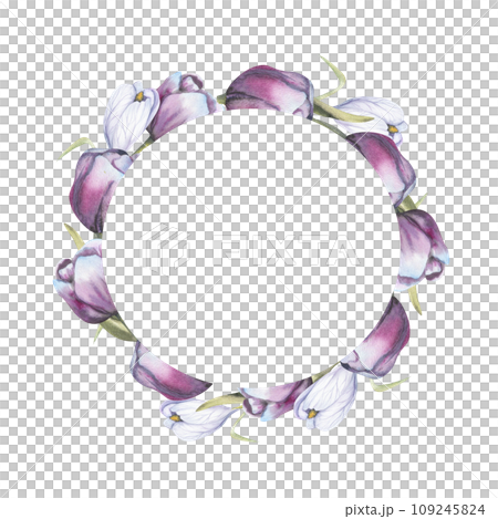 Watercolor violet tulips wreath. Spring first flowers round frame for label, logo, invitation design. Floral arrangement with tulips and crocuses Watercolor violet tulips wreath. Spring first flowers round frame for label, logo, invitation design. Floral arrangement with tulips and crocuses 109245824
