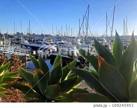 Boats in the bay. 109245951