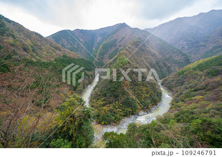 【徳島】ひの字渓谷【秋】 109246791