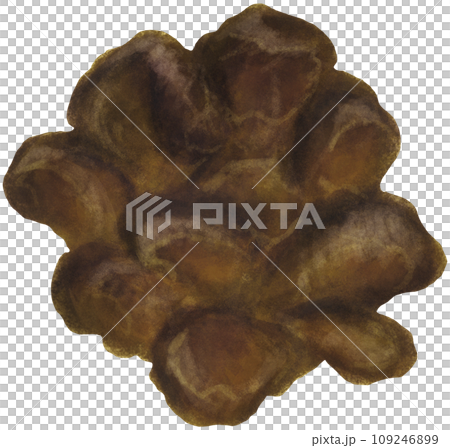 木耳菇 木耳菇 109246899