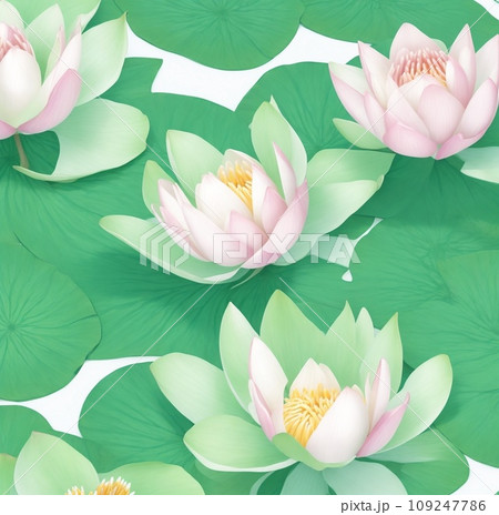pink water lily 109247786
