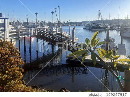 Early morning in San Diego Bay. 109247917