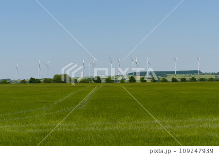 Wind turbines in the field, against the background of trees and blue sky Wind turbines in the field, against the background of trees and blue sky 109247939