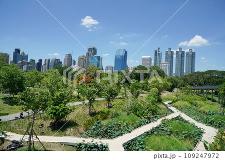 Benjakitti forest park in Bangkok(ベンジャキティ森林公園) Benjakitti forest park in Bangkok(ベンジャキティ森林公園) 109247972