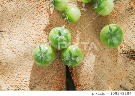 Green cherry tomatoes on wooden stump in bright rays of sun. Green cherry tomatoes on wooden stump in bright rays of sun. 109248194