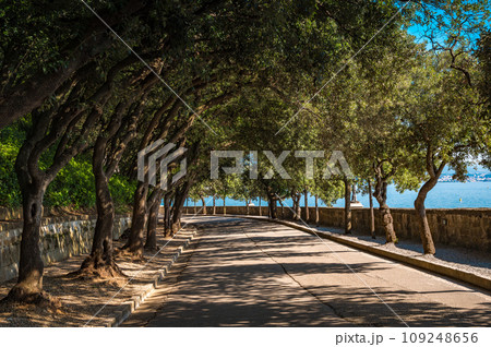 The Miramare garden in Trieste, situated above the Adriatic sea. Italy 109248656