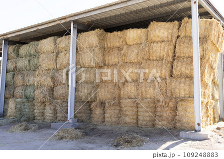 Barn, Hay Storage Shed Full Of Rolled Bales Hay On Farm, Agriculture And Livestock Farming. Agricultural Building, Farmyard Storage. Horizontal Plane Barn, Hay Storage Shed Full Of Rolled Bales Hay On Farm, Agriculture And Livestock Farming. Agricultural Building, Farmyard Storage. Horizontal Plane 109248883