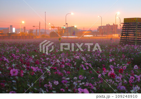 景色 風景 アキザクラ 109248910