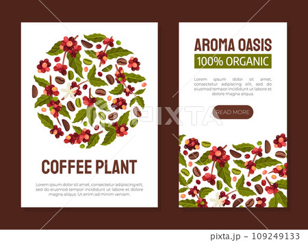 Coffee Plant Banner Design with Fruit Branch Vector Template 109249133