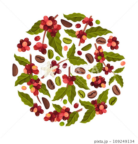 Coffee Plant Round Composition Design with Fruit Branch Vector Template Coffee Plant Round Composition Design with Fruit Branch Vector Template 109249134