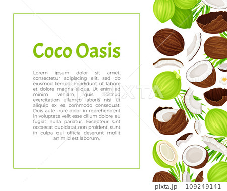 Coconut Product Banner Design with Organic Plant Vector Template 109249141