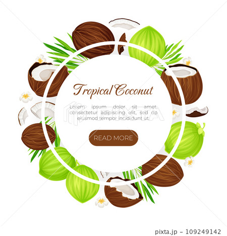 Coconut Product Banner Design with Organic Plant Vector Template Coconut Product Banner Design with Organic Plant Vector Template 109249142
