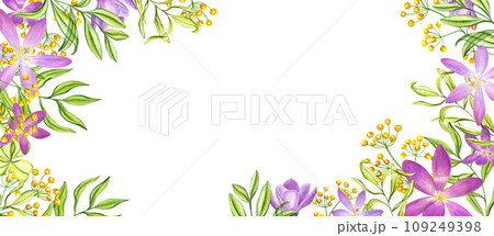 Horizontal frame with saffron flowers and wild herbs. Spring flower, crocus, green plants. Copy space for text. Watercolor illustration isolated on white. For Valentines day, mothers day cards Horizontal frame with saffron flowers and wild herbs. Spring flower, crocus, green plants. Copy space for text. Watercolor illustration isolated on white. For Valentines day, mothers day cards 109249398