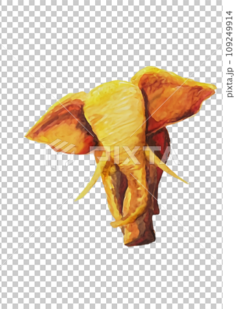 elephant painted in watercolor elephant painted in watercolor 109249914