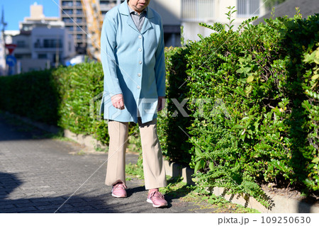健康のためにウォーキングするシニアの女性 高齢者 ダイエット 運動 健康習慣 散歩 健康のためにウォーキングするシニアの女性 高齢者 ダイエット 運動 健康習慣 散歩 109250630