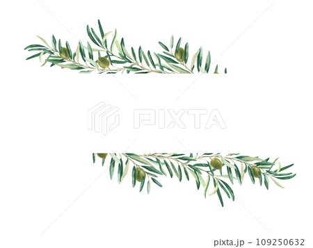 Horizontal frame, border with olive branches and green fruits. Watercolor hand drawn illustration. For cards, logos, banners, templates and cosmetic design. Horizontal frame, border with olive branches and green fruits. Watercolor hand drawn illustration. For cards, logos, banners, templates and cosmetic design. 109250632