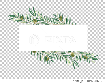 Horizontal frame, border with olive branches and green fruits. Watercolor hand drawn illustration. For cards, logos, banners, templates and cosmetic design. Horizontal frame, border with olive branches and green fruits. Watercolor hand drawn illustration. For cards, logos, banners, templates and cosmetic design. 109250632