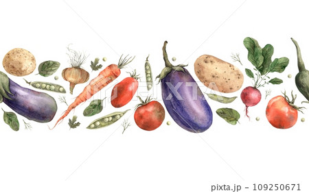 Hand drawn watercolor vegetables. Seamless border on a white background. Use in design, cards, brochures, packaging, fabric, menus, cookbooks. 109250671