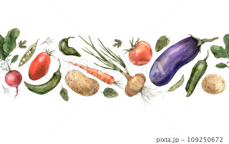 Hand drawn watercolor vegetables. Seamless border on a white background. Use in design, cards, brochures, packaging, fabric, menus, cookbooks. 109250672
