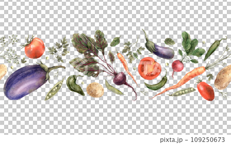 Hand drawn watercolor vegetables. Seamless border on a white background. Use in design, cards, brochures, packaging, fabric, menus, cookbooks. 109250673