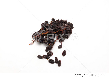 白背景の枝付きの干しブドウ 109250766