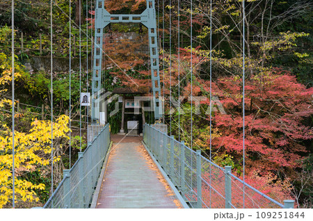天龍峡　つつじ橋　長野県飯田市川路 109251844