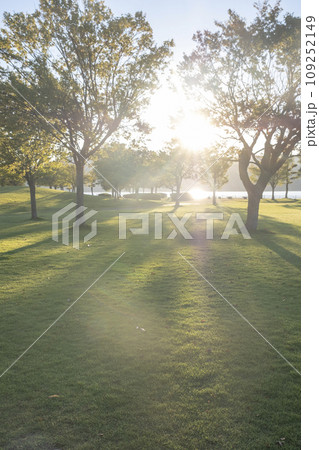 朝日が差し込む公園 109252149