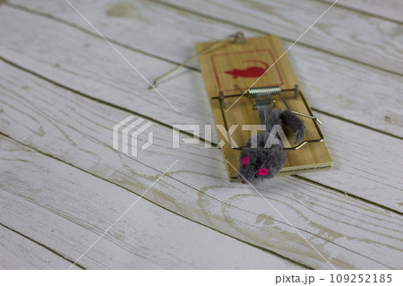Close up photo of a toy mouse caught in a mousetrap on a white wooden floor Close up photo of a toy mouse caught in a mousetrap on a white wooden floor 109252185