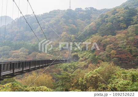 栃木　鬼怒楯岩大吊橋 109252622