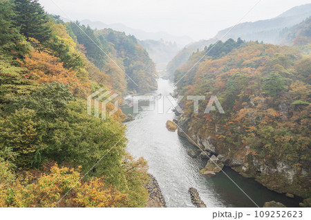 栃木　鬼怒川（鬼怒楯岩大吊橋から） 109252623